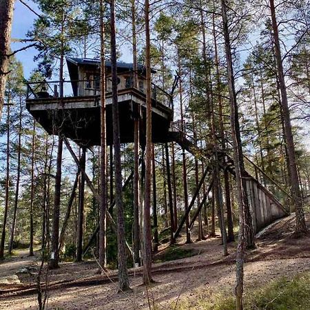 Tretopphytter Pa Grensen - Elghytta Med Robat Og Gjeddefiske Halden Dış mekan fotoğraf