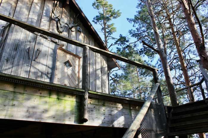 Tretopphytter Pa Grensen - Elghytta Med Robat Og Gjeddefiske Halden Dış mekan fotoğraf
